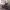https://res.cloudinary.com/billionhands/image/upload/v1770823575/items/qarx6b0sedgjna04dknb.jpg-0cover