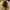 https://res.cloudinary.com/billionhands/image/upload/v1770823576/items/ccopkbztfpvcyzqg0onb.webp-3cover