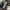 https://res.cloudinary.com/billionhands/image/upload/v1770823582/items/v9iz41keykifovkermu9.png-0cover
