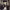 https://res.cloudinary.com/billionhands/image/upload/v1770823586/items/hdahcw3er3ljgm7ipspd.jpg-0cover