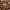 https://res.cloudinary.com/billionhands/image/upload/v1770823607/items/qlhhuq0ad6o1xowxozwz.jpg-1cover