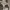 https://res.cloudinary.com/billionhands/image/upload/v1770823671/items/bzyvvk6inhiwfgas1nox.jpg-0cover