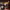 https://res.cloudinary.com/billionhands/image/upload/v1770823690/items/ftubi1tbz4ap23mbtwip.webp-1cover