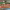https://res.cloudinary.com/billionhands/image/upload/v1770823726/items/uswdpein6pcqkbfg3ndo.jpg-3cover