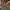 https://res.cloudinary.com/billionhands/image/upload/v1770823730/items/za7ldvdh8mqglfvcvq79.jpg-1cover