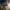 https://res.cloudinary.com/billionhands/image/upload/v1770823738/items/hvpw6nibwjnndumd3bwk.jpg-1cover
