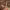 https://res.cloudinary.com/billionhands/image/upload/v1770823757/items/r7fppdi8kpmqse1d1opu.png-2cover