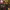https://res.cloudinary.com/billionhands/image/upload/v1770823776/items/dppgixhihxtnq1piejhp.webp-3cover