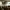 https://res.cloudinary.com/billionhands/image/upload/v1770823792/items/cgbuxhfzn3fqu8974jo7.jpg-0cover