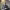 https://res.cloudinary.com/billionhands/image/upload/v1770823795/items/sfsxa88h6gwtmfra1gxt.jpg-2cover