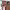 https://res.cloudinary.com/billionhands/image/upload/v1770823857/items/hwczfdgz74vrcqly65wv.jpg-0cover
