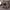 https://res.cloudinary.com/billionhands/image/upload/v1770823907/items/sbihtrubaizjafrvzgrw.jpg-3cover