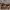 https://res.cloudinary.com/billionhands/image/upload/v1770823931/items/tcjhzhplt9zsds71vrgh.jpg-2cover