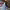 https://res.cloudinary.com/billionhands/image/upload/v1770823949/items/xap4y8y2chnbgkis0ruj.jpg-3cover
