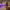 https://res.cloudinary.com/billionhands/image/upload/v1770823950/items/bijfvmdcl5z8qzy55nqy.jpg-1cover