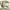 https://res.cloudinary.com/billionhands/image/upload/v1770823955/items/j9hha6fuvvz2qot2wi0z.jpg-1cover