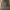 https://res.cloudinary.com/billionhands/image/upload/v1770824022/items/db5upn2hxke3igslgubl.jpg-3cover