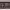 https://res.cloudinary.com/billionhands/image/upload/v1770824049/items/gvobu0z6w1ldq471kgl0.jpg-1cover