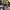 https://res.cloudinary.com/billionhands/image/upload/v1770824083/items/mqdjyqjfsvimfaqpkjn7.jpg-2cover