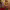 https://res.cloudinary.com/billionhands/image/upload/v1770824135/items/ix5xjps2vkkpvtfsc1fv.jpg-0cover