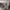 https://res.cloudinary.com/billionhands/image/upload/v1770824146/items/t8anbhzr3c5lrhg4phtw.jpg-2cover