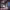 https://res.cloudinary.com/billionhands/image/upload/v1770824273/items/dnwyystiiffhfezqgj4y.webp-0cover
