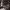 https://res.cloudinary.com/billionhands/image/upload/v1770824279/items/mvzixvooafakgar4fnfp.jpg-3cover