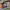 https://res.cloudinary.com/billionhands/image/upload/v1770824288/items/th7jpu3rcotykhdicqdj.jpg-0cover