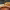 https://res.cloudinary.com/billionhands/image/upload/v1770824293/items/jwpucttbbno1mlhnwkbk.webp-2cover