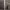 https://res.cloudinary.com/billionhands/image/upload/v1770824312/items/sojvlkitb3ls4bs5ljak.jpg-3cover