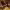 https://res.cloudinary.com/billionhands/image/upload/v1770824314/items/t2aqqvnk6um1egec1cci.jpg-0cover