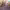 https://res.cloudinary.com/billionhands/image/upload/v1770824323/items/updsmkw3otkuvyapi6g9.webp-3cover