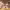 https://res.cloudinary.com/billionhands/image/upload/v1770824350/items/epop5hauo7stdqyjjbyp.jpg-0cover