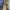 https://res.cloudinary.com/billionhands/image/upload/v1770824355/items/rjupsgsbpkn3cjp7203z.webp-2cover