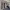 https://res.cloudinary.com/billionhands/image/upload/v1770824392/items/bszf5tkzuacxmcpqeao3.jpg-2cover