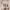 https://res.cloudinary.com/billionhands/image/upload/v1770824433/items/qnay6j2wd2bymwoc4s4u.jpg-3cover