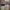 https://res.cloudinary.com/billionhands/image/upload/v1770824434/items/mtpnbvz5omgqwuztvwsb.jpg-3cover