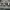 https://res.cloudinary.com/billionhands/image/upload/v1770824520/items/icryf0jhux7svxmr1lta.jpg-2cover