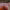 https://res.cloudinary.com/billionhands/image/upload/v1770824537/items/nmmmmtb9g29rfw85rri2.jpg-2cover