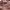 https://res.cloudinary.com/billionhands/image/upload/v1770824546/items/irvzxgjxstebrcpcuax6.png-2cover