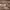https://res.cloudinary.com/billionhands/image/upload/v1770824557/items/mk9ccfldnopdia9nq2ec.jpg-2cover