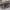 https://res.cloudinary.com/billionhands/image/upload/v1770824574/items/tslqdy09ywelcf5vmvxg.jpg-0cover