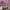 https://res.cloudinary.com/billionhands/image/upload/v1770824575/items/x9phdahlemwztgwvbxj5.jpg-2cover