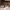 https://res.cloudinary.com/billionhands/image/upload/v1770824588/items/yheomgjqzsey94mlqdjk.jpg-2cover