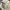 https://res.cloudinary.com/billionhands/image/upload/v1770824628/items/h4nip5fai3bowmqfxuuj.jpg-2cover