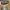 https://res.cloudinary.com/billionhands/image/upload/v1770824637/items/rxeaawl0puoav1rqbvbh.jpg-0cover