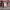 https://res.cloudinary.com/billionhands/image/upload/v1770824640/items/jmofey8xch4idr3audek.png-1cover