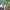 https://res.cloudinary.com/billionhands/image/upload/v1770825209/items/iskhtecf5wieaw5is8dh.jpg-0cover