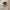 https://res.cloudinary.com/billionhands/image/upload/v1770825229/items/sbvzhrllvx0s5eempg5o.jpg-2cover