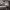 https://res.cloudinary.com/billionhands/image/upload/v1770825235/items/ncwrbzxoijujuk0vqihl.jpg-3cover